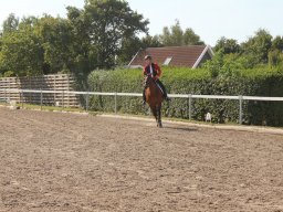 img_7245_web